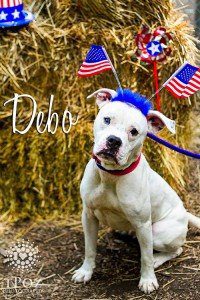 Debo1