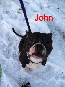 John2
