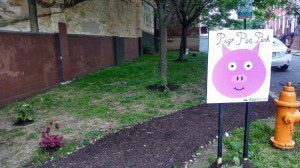 Photo Courtesy of PigtownMainStreet.org