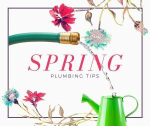 SpringPlumingTips-768x644